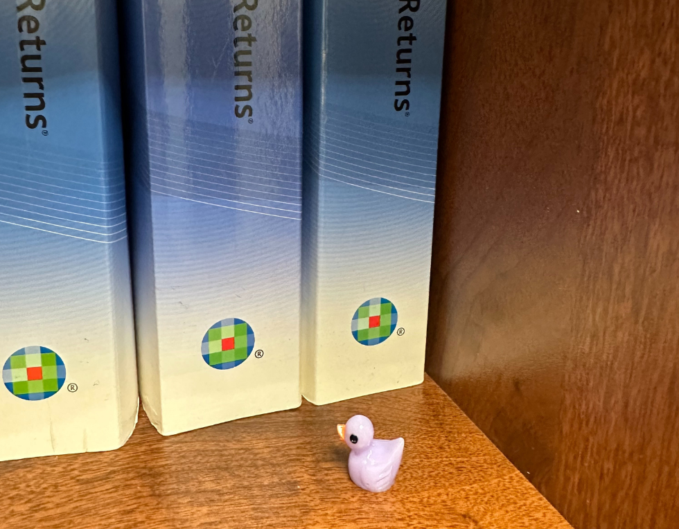 A white miniature rubber duck sits by a row of binders labeled "income tax returns."