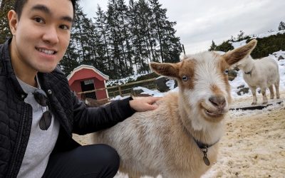 From Co-Op Student to Manager: William Situ Details His Career at RHN CPA