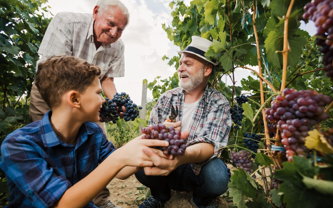 Paying Family Members from Your Small Business: Salaries, T4s & CRA Rules