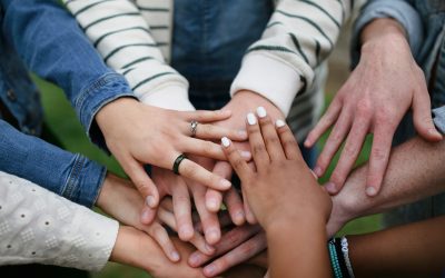 Not-for-Profit & Charity Tax in Canada: NPO and T1044